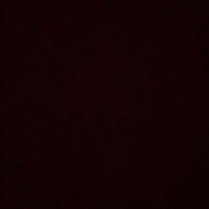 Meet your Posher, Aliza